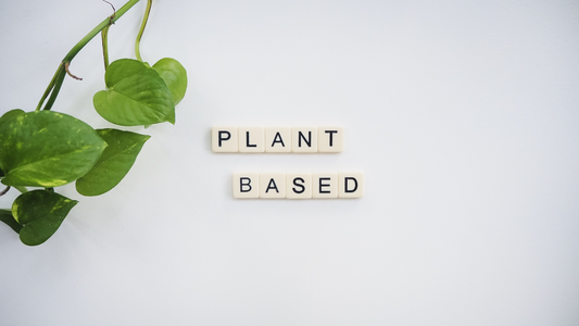 Inside the Luma 5-Day Sustainability Challenge