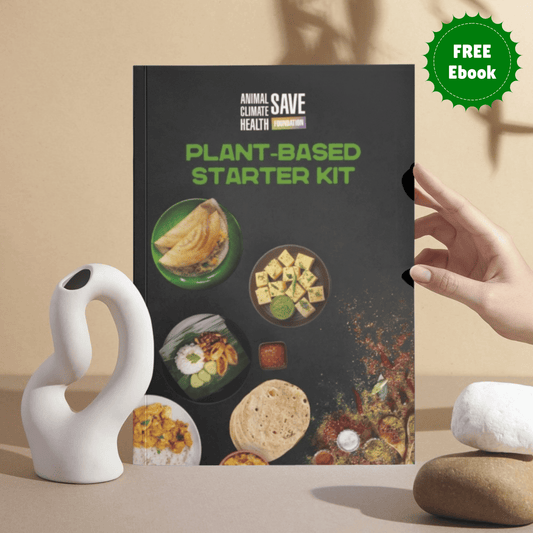 Plant-Based Starter Kit